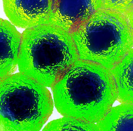 An image of some cells . It would make a interesting medical or background image.