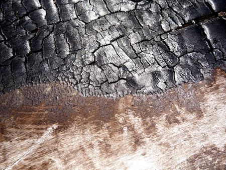 A close up photograph of some brunt tree bark.の写真素材