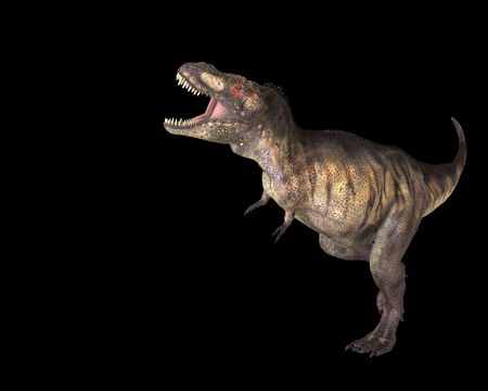 A Tyrannosaurus Rex in a menacing pose.の写真素材