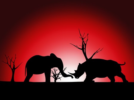 Elephant and Rhino silhouette against a wild landscape.の写真素材