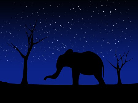 Elephant against a wild landscape.の写真素材