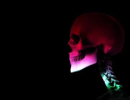 Skull for medical or Halloween concepts.の写真素材