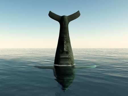 A Whales tail coming out of the sea.の写真素材