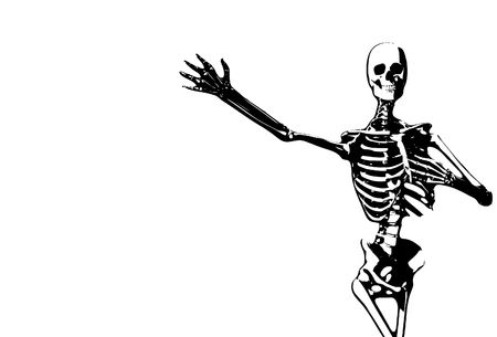 Image of an illustrated skeleton for medical or Halloween concepts.の写真素材