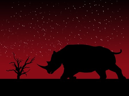 A powerful Rhino against a sky background.の写真素材