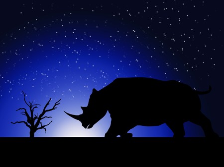 A powerful Rhino against a sky background.の写真素材