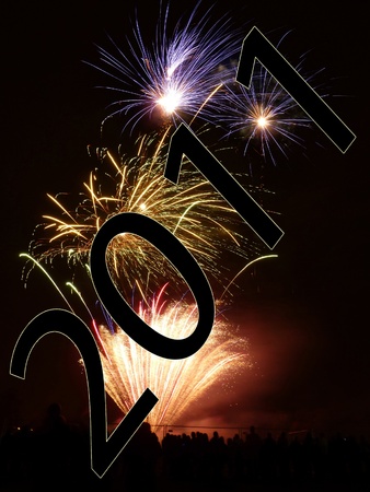Fireworks that are going of celebrating the new year.