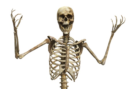 Skelton that is screaming in rage or terror の写真素材