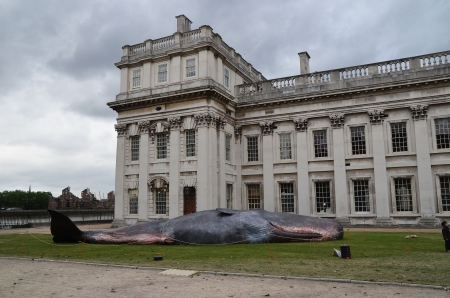 London, June 23: The Great Greenwich Whale at the Greenwich and Docklands International Festival in Greenwich University, London June 23rd, 2013 in London England.のeditorial素材