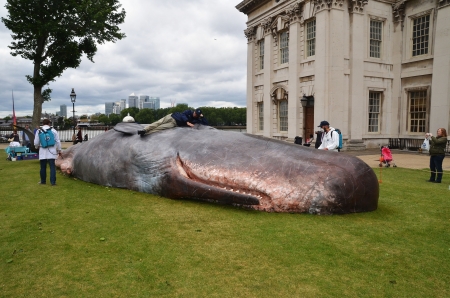 London, June 23: The Great Greenwich Whale at the Greenwich and Docklands International Festival in Greenwich University, London June 23rd, 2013 in London England.のeditorial素材