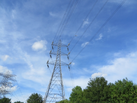 Electrical Pylons within a natural setting of parkland. の写真素材
