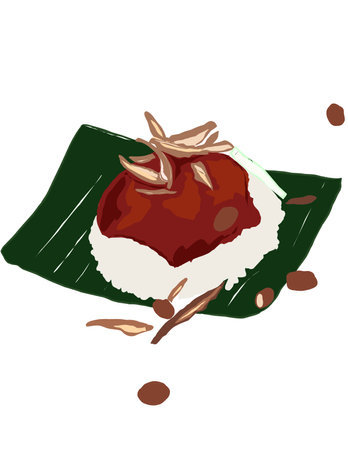 Illustration of rice dish, Malaysian Dish. Rice cooked with coconut milk and served with spicy sauce, boiled egg, peanut, anchovies, cucumber. For breakfast.の写真素材