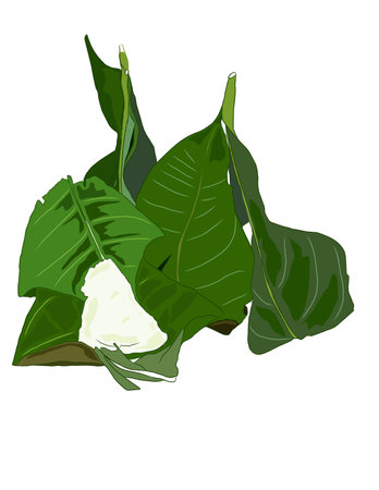 Illustration of Malaysian dessert on white background. Fermented rice wrapped in rubber leaf.の写真素材