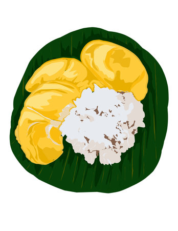 Hand drawn illustration of Durian sticky rice. Sticky rice cook with coconut milk, served with durian and coconut milk as gravy. Thai popular dessert.の写真素材