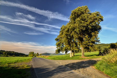 Cross cholic under the lime trees in rural roadsの写真素材