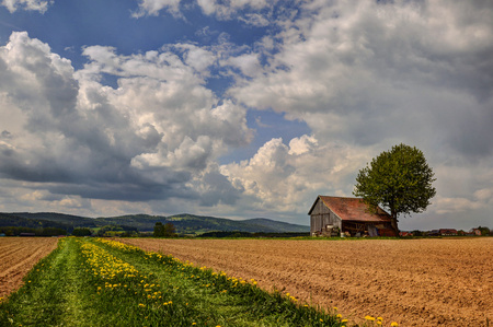 barn with a tree in the middle of fields in Bavariaの写真素材