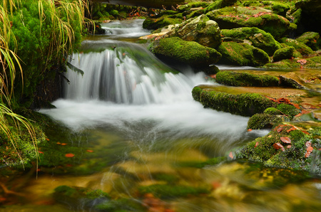 rapids in a small mountain stream nature reserveの写真素材