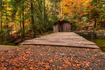 Wooden hut in the middle of the Bavarian Forestの写真素材