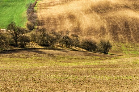 Undulating fields after heavy rains in Moravia