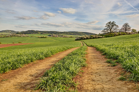 Spring scene with a dirt road in a pastureの写真素材