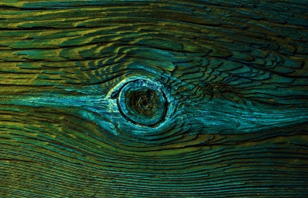 Wood texture ,abstract green backgroundの写真素材