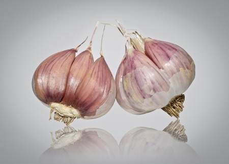 Garlic isolated on white backgroundの写真素材