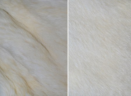 white fur texture background