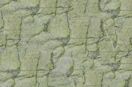 texture of stone on background