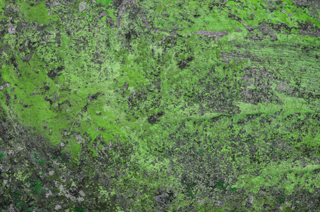 old spotty stained concrete wall texture background. color pattern. greenの写真素材
