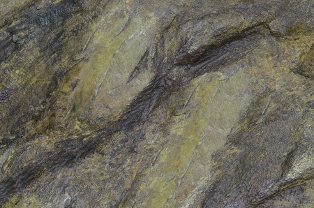 old spotty stained concrete wall texture background. black, green color