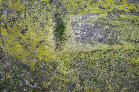 old spotty stained concrete wall texture background. color pattern. green, yellowの写真素材