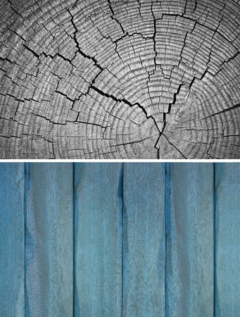 Wood texture. Lining boards wall. Wooden background. pattern. Showing growth rings. setの写真素材