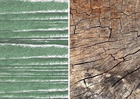 Wood texture. Lining boards wall. Wooden background. pattern. Showing growth rings. set