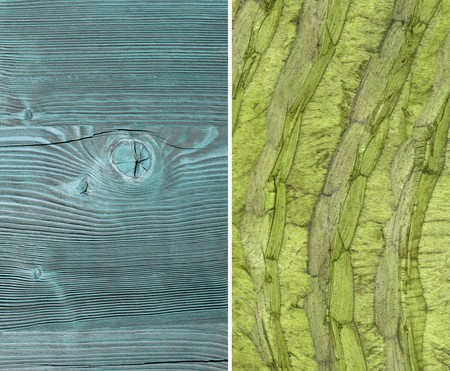 Wood texture. set. Lining boards wall. Wooden background. pattern. Showing growth ringsの写真素材