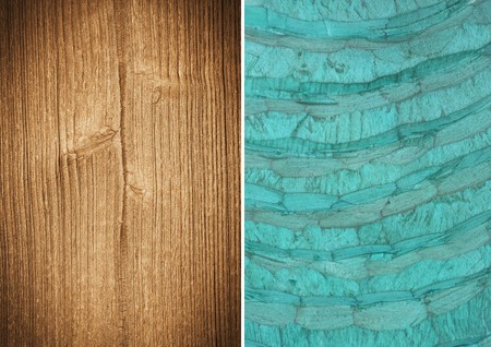 Wood texture. Lining boards wall. set. Wooden background. pattern. Showing growth ringsの写真素材