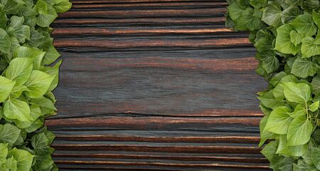 Wood planks covered by green leaves. Green ivy leaves climbing on wooden fence. Natural background texture.の写真素材