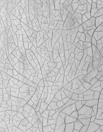 Cracked paint on wooden background, texture. Vintage wallpaperの写真素材