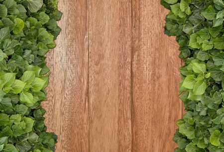 Wood planks covered by green leaves. Green ivy leaves climbing on wooden fence. Natural background texture.の写真素材