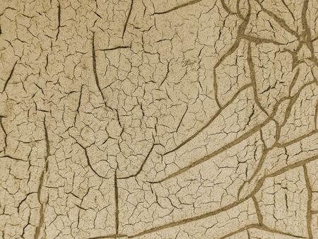 Cracked paint on wooden background, texture. Vintage wallpaper