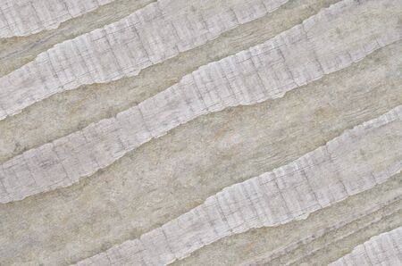 Wood texture. Lining boards wall. Wooden background. pattern. Showing growth rings