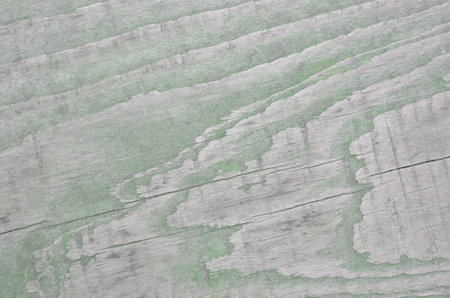 Wood texture. Lining boards wall. Wooden background. pattern. Showing growth ringsの写真素材