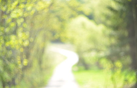 blurred nature background. bokehの写真素材