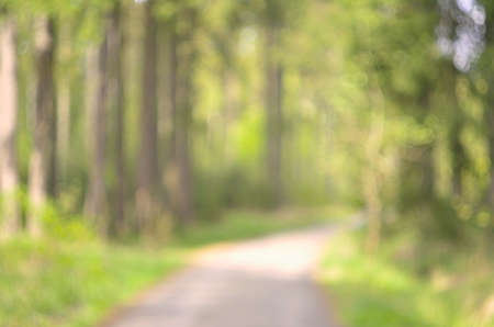 blurred nature background. bokehの写真素材