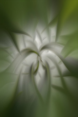 abstract background with green and white petals in the shape of a flowerの素材