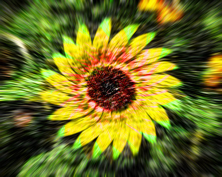 abstract yellow sunflower on a green background with rays of lightの素材