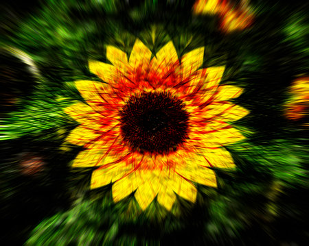 sunflower abstract background in yellow and green colors with a blurred effectの素材