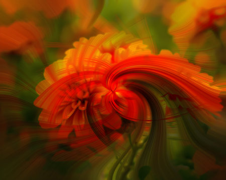 abstract background with a flower of chrysanthemum.の素材
