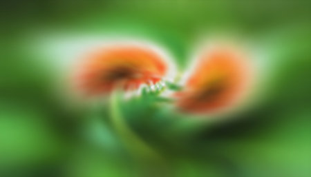 the abstract colors and blur   background texture. Soft focus.の素材
