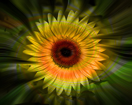 Macro closeup of a sunflower, digital artwork for creative graphic designの素材