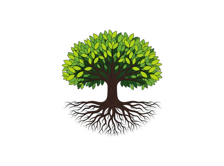 Green Tree with Roots. Vector Illustration. Graphic Design Element.のイラスト素材